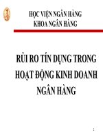 Bài giảng: Rủi ro trong hoạt động của ngân hàng_p1 doc