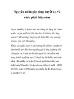 Nguyên nhân gây tăng huyết áp và cách phát hiện sớm pot