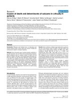 Báo cáo khoa học: 