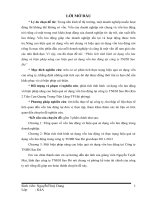 phân tích tình hình sử dụng vốn lưu động và biện pháp nâng cao hiệu quả sử dụng vốn lưu động tại công ty tnhh sao đỏ