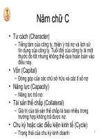 Bài giảng: Rủi ro trong hoạt động của ngân hàng_p2 docx