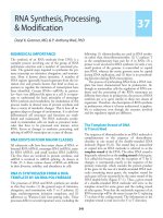 Harper’s Illustrated Biochemistry - Part 6 potx
