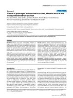 Báo cáo khoa học: 