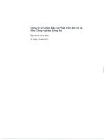 công ty cổ phần đầu tư phát triển đô thị và khu công nghiệp sông đà báo cáo tài chính riêng 31 tháng 12 năm 2013