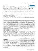 Báo cáo khoa học: 