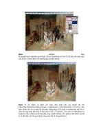 Giáo trình hình thành quy trình cấu tạo ratersize tạo ra các hiệu ứng về hình ảnh p5 ppt