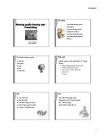 Tình hình nhượng quyền - ThS. Tô Bình Minh pdf