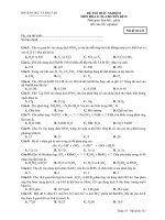 ĐỀ THI TRẮC NGHIỆM MÔN HÓA 11 NC-CHUYÊN ĐỀ II - Mã đề thi 232 pot