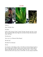 Lý Thuyết Dược Học: LÔ HỘI docx