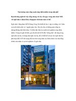 Tận hưởng cuộc sống xanh cùng thiên nhiên trong nhà phố pps