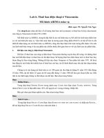 Lab 6. Thuê bao điện thoại ở Vinsconsin: Mô hình ARIMA mùa vụ doc