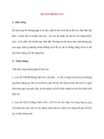 Lý Thuyết Bệnh Học: DỊ VẬT TRONG TAI pot