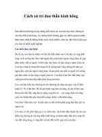 Cách xử trí đau thần kinh hông pps