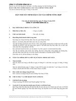 bản thuyết minh báo cáo tài chính tổng hợp cho năm tài chính kết thúc ngày 31 tháng 12 năm 2010 công ty cổ phần sông đà 11