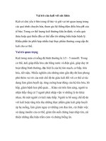 Vai trò của kali với sức khỏe pptx