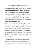 Đất lòng bếp và vị thuốc phục long can docx