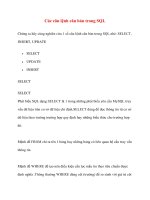 Các câu lệnh căn bản trong SQL pps