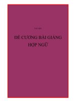 Đề cương bài giảng HỢP NGỮ ppt