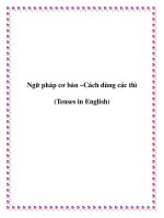 ngữ pháp cơ bản - cách dùng các thì
