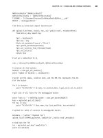 Pro Web 2.0 Mashups Remixing Data and Web Services phần 9 doc