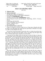 công ty cp sông đà 10  báo cáo thường niên 2012