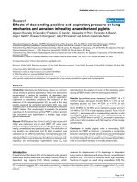 Báo cáo khoa học: 