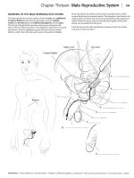 Kaplan anatomy coloring book - part 8 pdf