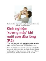Kinh nghiệm ''''xương máu'''' khi nuôi con đầu lòng (P.2) pps