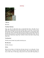 Lý Thuyết Dược Học: BÁN HẠ pptx