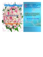 Tiểu luận doanh nghiệp việt nam và chính sách động viên