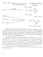 Công nghệ xử lý rác thải và chất thải rắn part 2 ppt