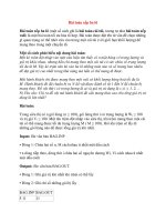 Bài toán xếp ba lô ppsx