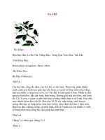 Lý Thuyết Dược Học: BA CHẼ potx