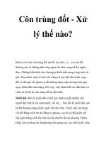Côn trùng đốt - Xử lý thế nào? ppsx