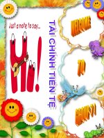 Đề tài tài chính tiền tệ docx