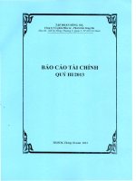 công ty cổ phần đầu tư phát triển sông đà báo cáo tài chính quý 3 năm 2013