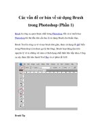 Các vấn đề cơ bản về sử dụng Brush trong Photoshop (Phần 1) docx