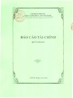 tập đoàn sông đà công ty cổ phần đầu tư phát triển sông đà báo cáo tài chính quý 1 năm 2012