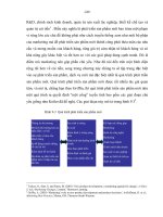 Danh mục khai thác cơ hội 3 pdf