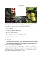 Lý Thuyết Dược Học: HỒ ĐÀO docx