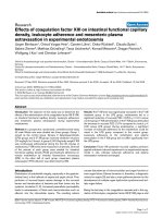 Báo cáo khoa học: 