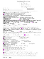 ĐỀ THI THỬ ĐẠI HỌC NĂM 2011 Lớp : 12 Môn thi : Hoá Học potx
