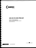 công ty cổ phần sông đà 9 báo cáo tài chính tổng hợp cho năm tài chính kết thúc 31 tháng 12 năm 2013 đã được kiểm toán