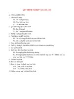 Lý Thuyết Tín Dụng Ngân Hàng: QUY TRÌNH NGHIỆP VỤ BẢO LÃNH pdf