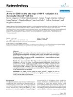 Retrovirology Research BioMed Central Open Access A role for CD81 on the late steps of HIV-1 pdf