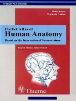 anatomy atlas ebook free download Free anatomy download ebook atlas