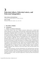 Handbook of Polymer Synthesis Second Edition Episode 3 pot