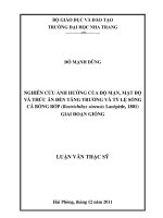 NGHIÊN cứu ẢNH HƯỞNG của độ mặn, mật độ  và THỨC ăn đến TĂNG TRƯỞNG và tỷ lệ SỐNG  cá BỐNG bớp (bostrichthys sinensis lacépède, 1801)  GIAI đoạn GIỐNG