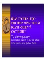 SLIDE QUẢN LÝ CHIẾN LƯỢC: MỘT TRIỂN VỌNG CHO CÁC DOANH NGHIỆP VÀ CÁC TỔ CHỨC pot