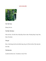 Lý Thuyết Dược Học: BÁN CHI LIÊN pps